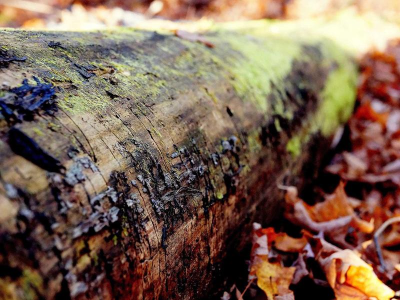 sudoku skill improvement screenshot 4